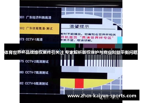 体育世界杯品牌维权案件引关注 专家解析版权保护与商业利益平衡问题