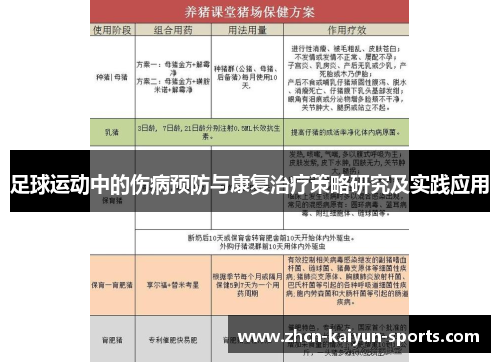 足球运动中的伤病预防与康复治疗策略研究及实践应用
