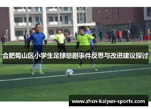 合肥蜀山区小学生足球悲剧事件反思与改进建议探讨
