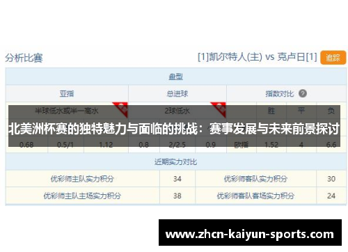 北美洲杯赛的独特魅力与面临的挑战：赛事发展与未来前景探讨